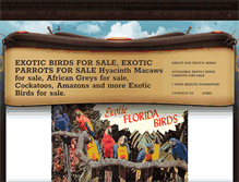 Tablet Screenshot of exoticbirdparrotbreeders.com